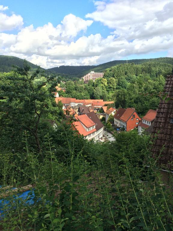 Ferienwohnung Zur Alten Post Bad Grund Eksteriør bilde