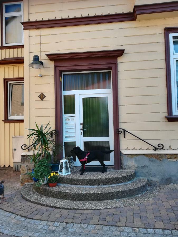 Ferienwohnung Zur Alten Post Bad Grund Eksteriør bilde